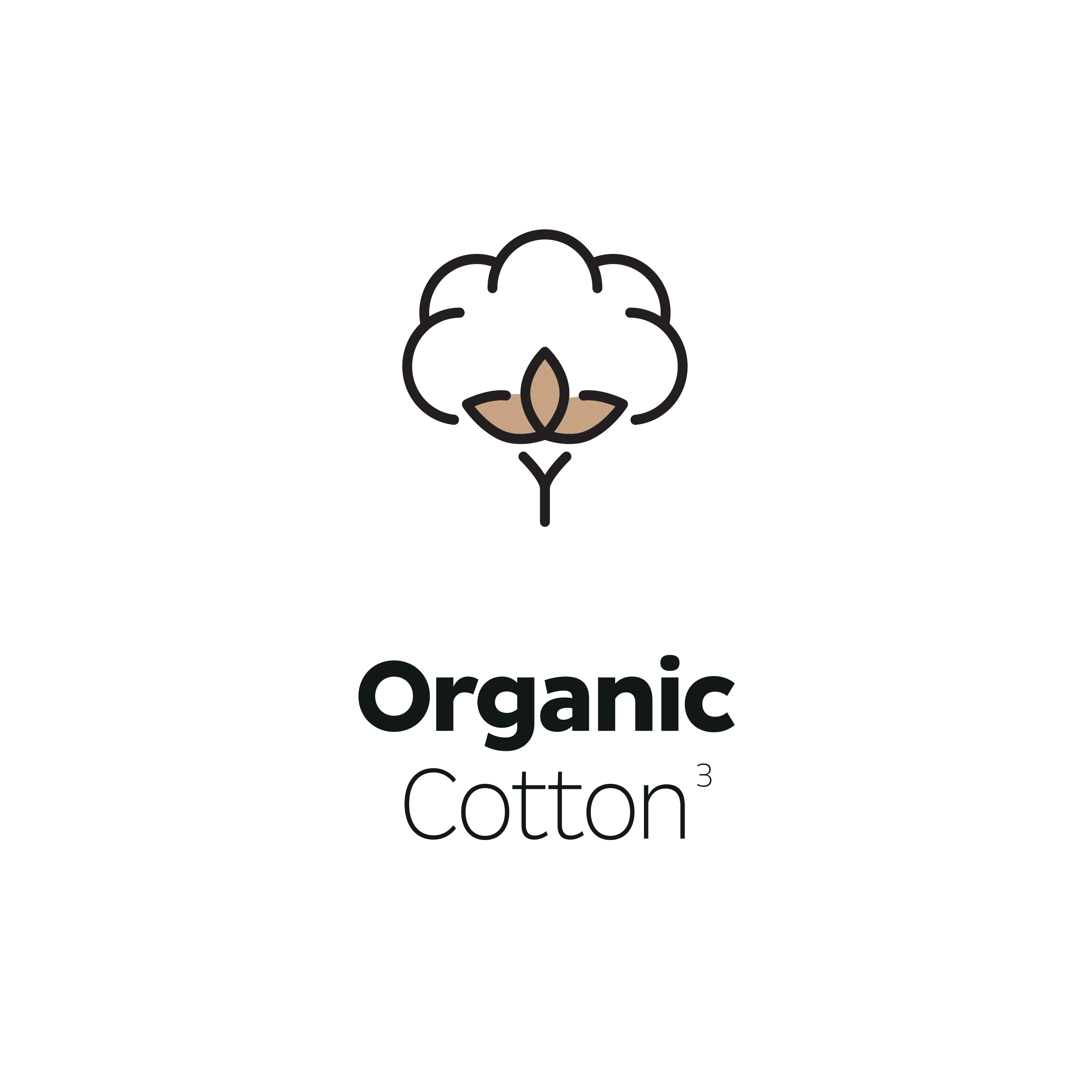 Organic Cotton